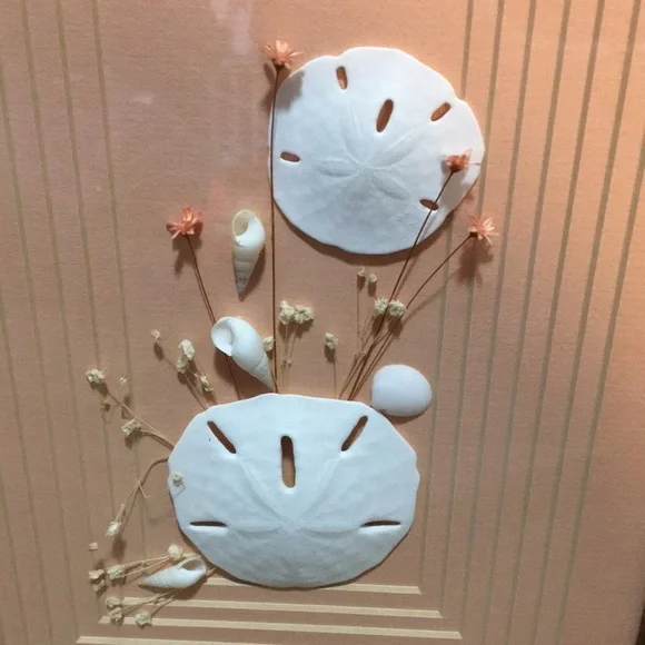 Vintage Framed Sand Dollars & Dried Flower Wall Art in a Pink Metal Frame - Picture 17 of 17